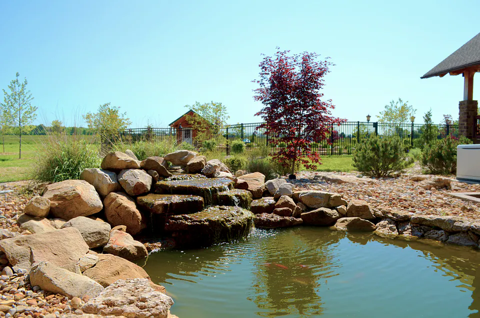 Boulder-edged pond with a small waterfall, a red Japanese maple, and an open field behind a black metal fence